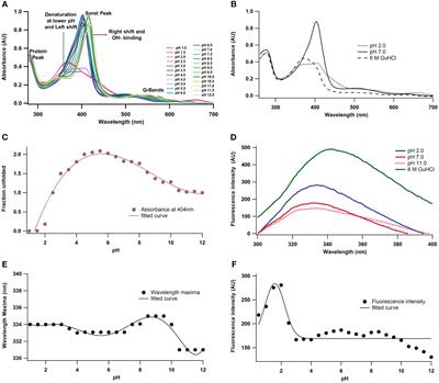 Conformational stability of peroxidase from the latex of Artocarpus lakoocha: influence of pH, chaotropes, and temperature